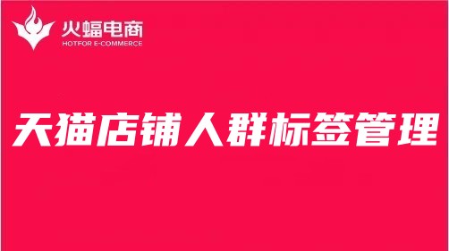 景德鎮(zhèn)天貓代運營