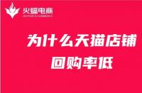 天貓國際平臺(tái)運(yùn)營模式（天貓國際電商運(yùn)營）