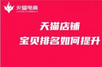 天貓星級服務(wù)商（天貓星級服務(wù)商怎么申請的）